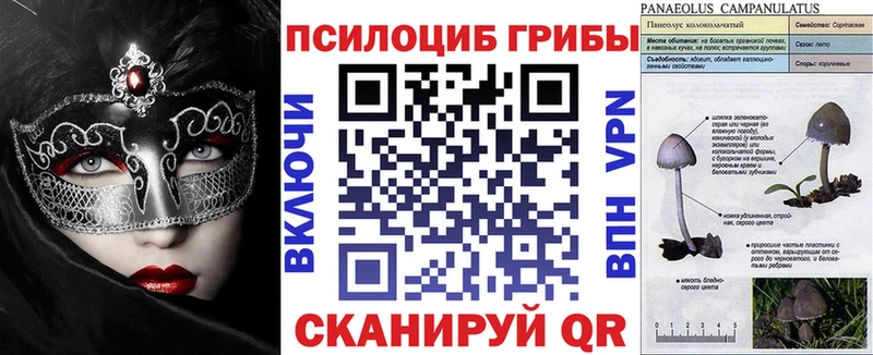 Купить где  Салават  Псилоцибиновые грибы Psilocybine cubensis 